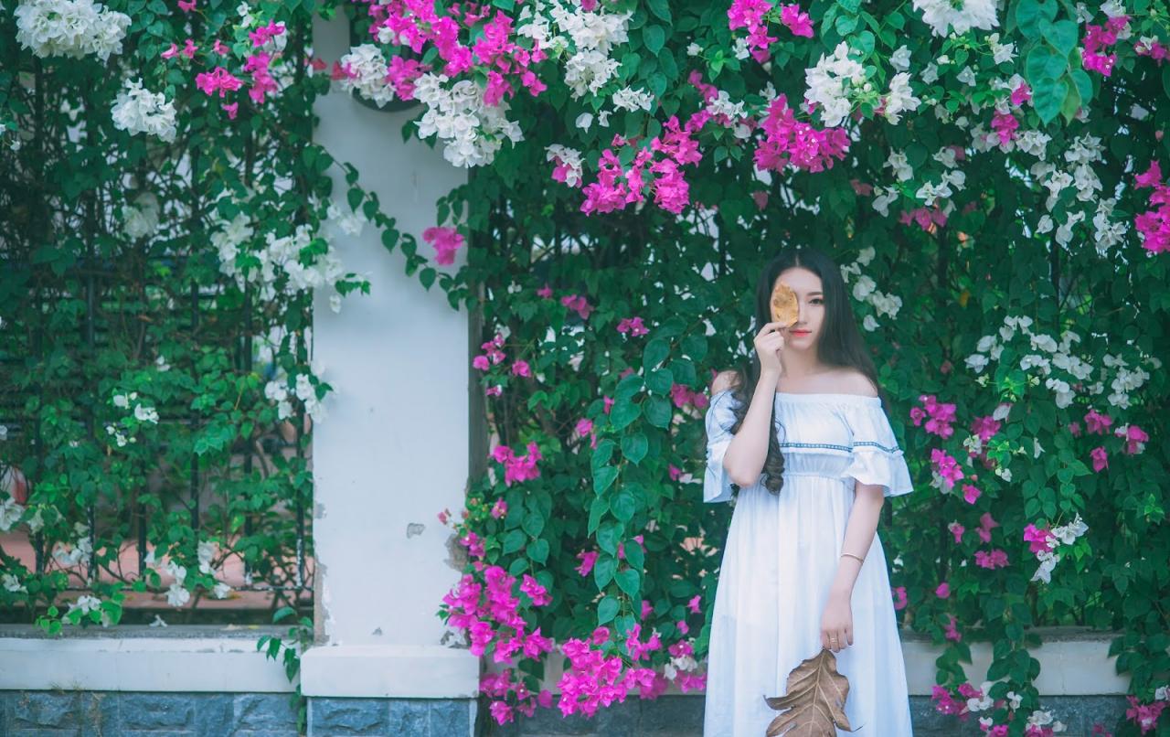 Bộ ảnh cô gái bên những cánh Hoa giấy - Người mẫu Huỳnh Như