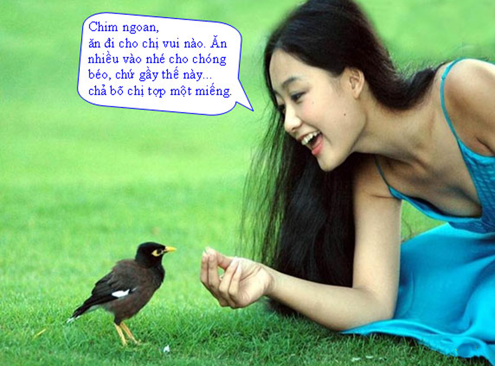 Tổng hợp 55+ hình ảnh hài hước nhất Việt Nam - chia sẻ kiến ​​thức mỗi ngày