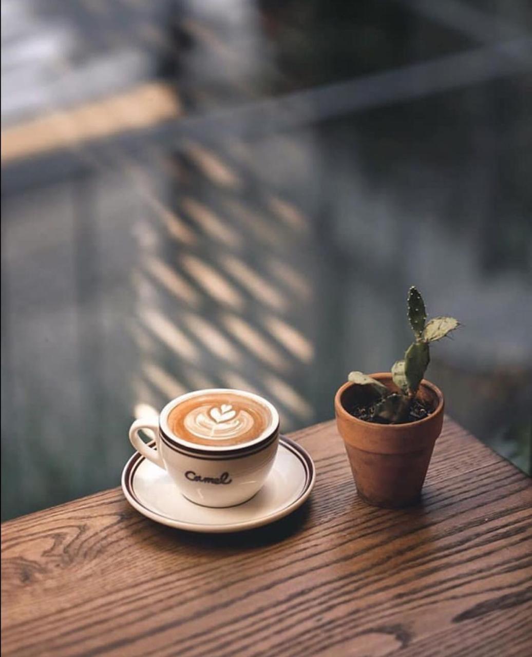 Hình ảnh uống Cafe sáng một mình