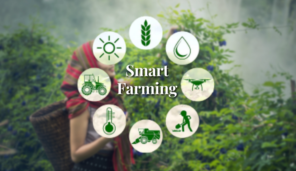 Viet Agri Wholesale Applied Smart Farming For Vietnam Agricultural Products
